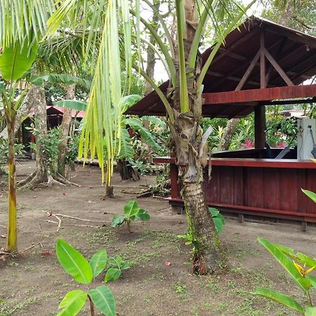 Gecko De Tortuguero Bed & Breakfast Exterior photo