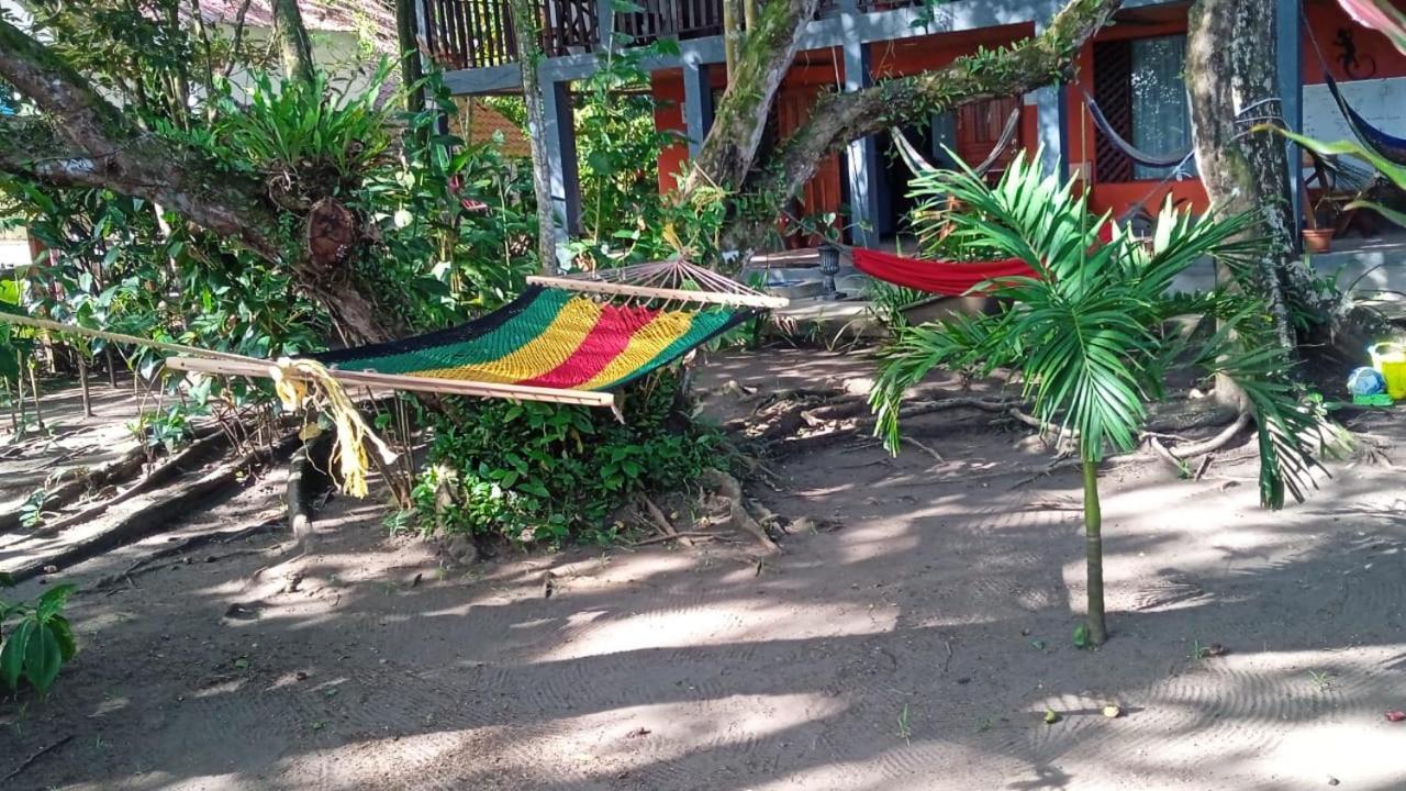 Gecko De Tortuguero Bed & Breakfast Exterior photo