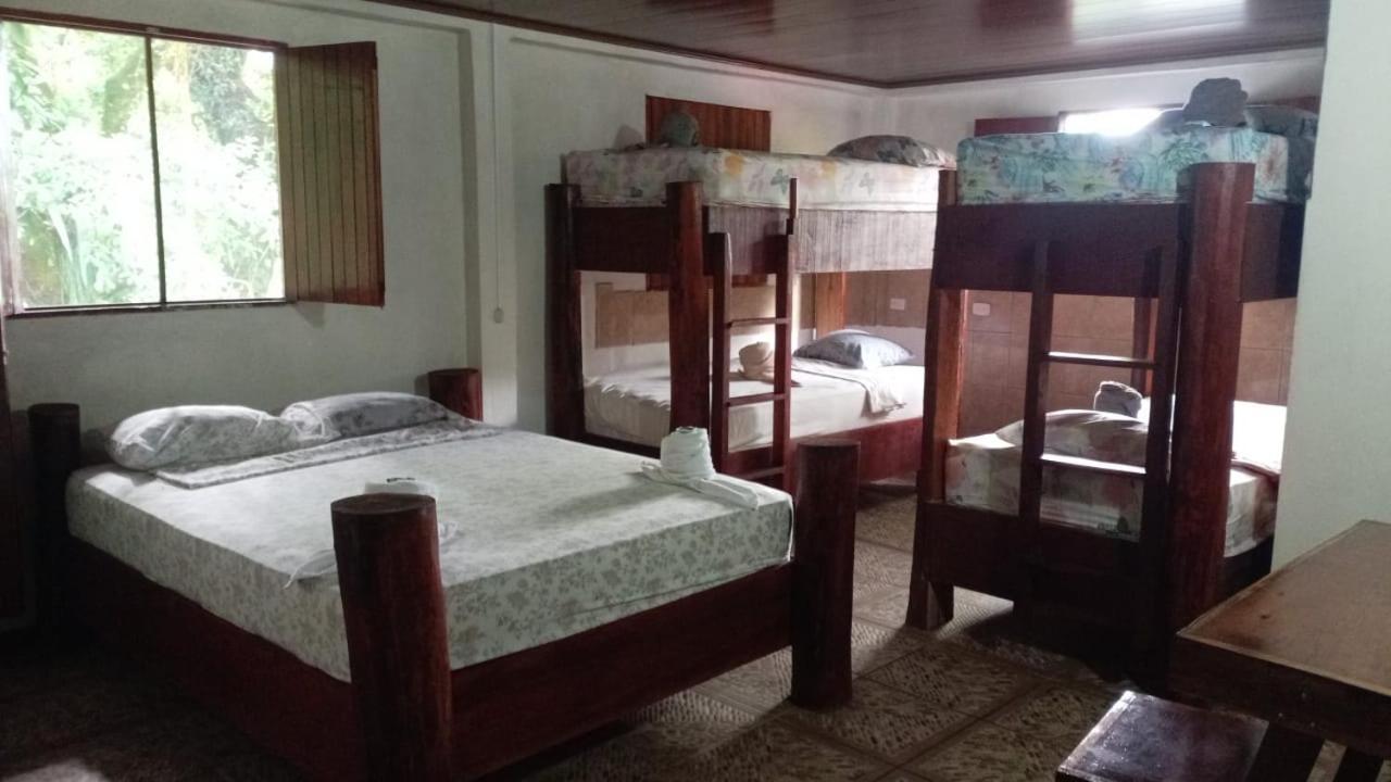 Gecko De Tortuguero Bed & Breakfast Exterior photo