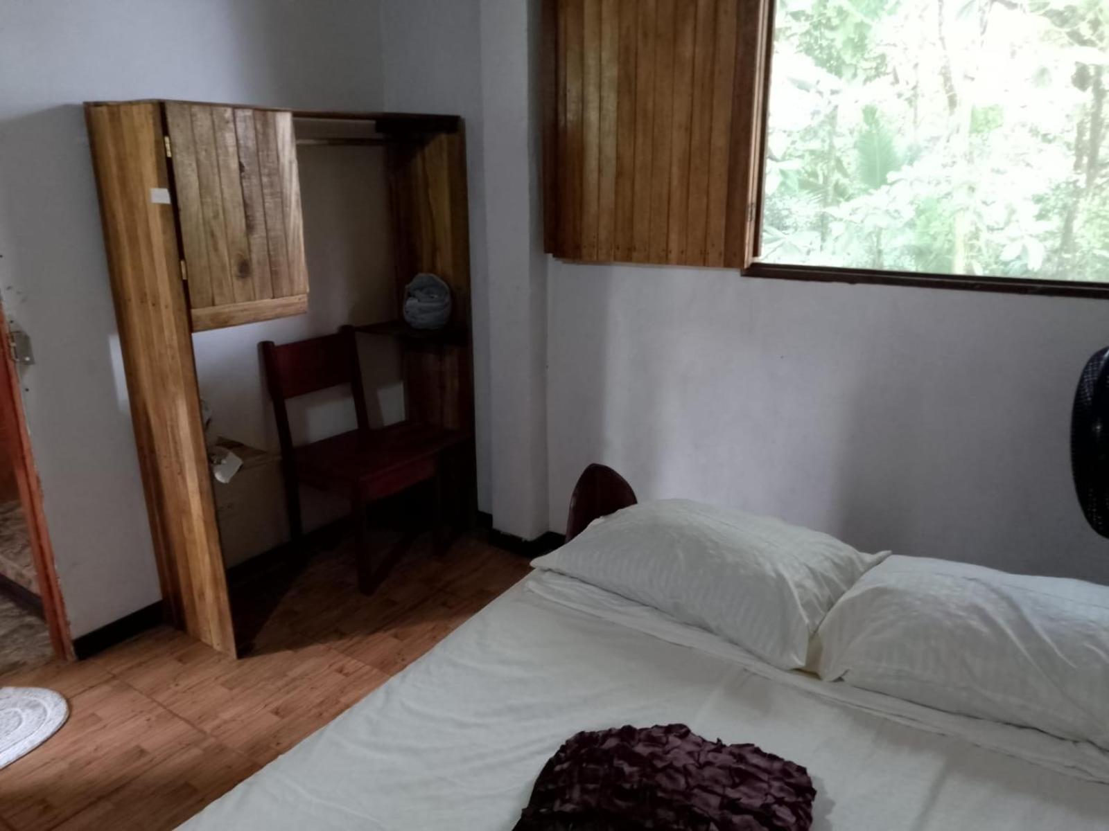 Gecko De Tortuguero Bed & Breakfast Exterior photo