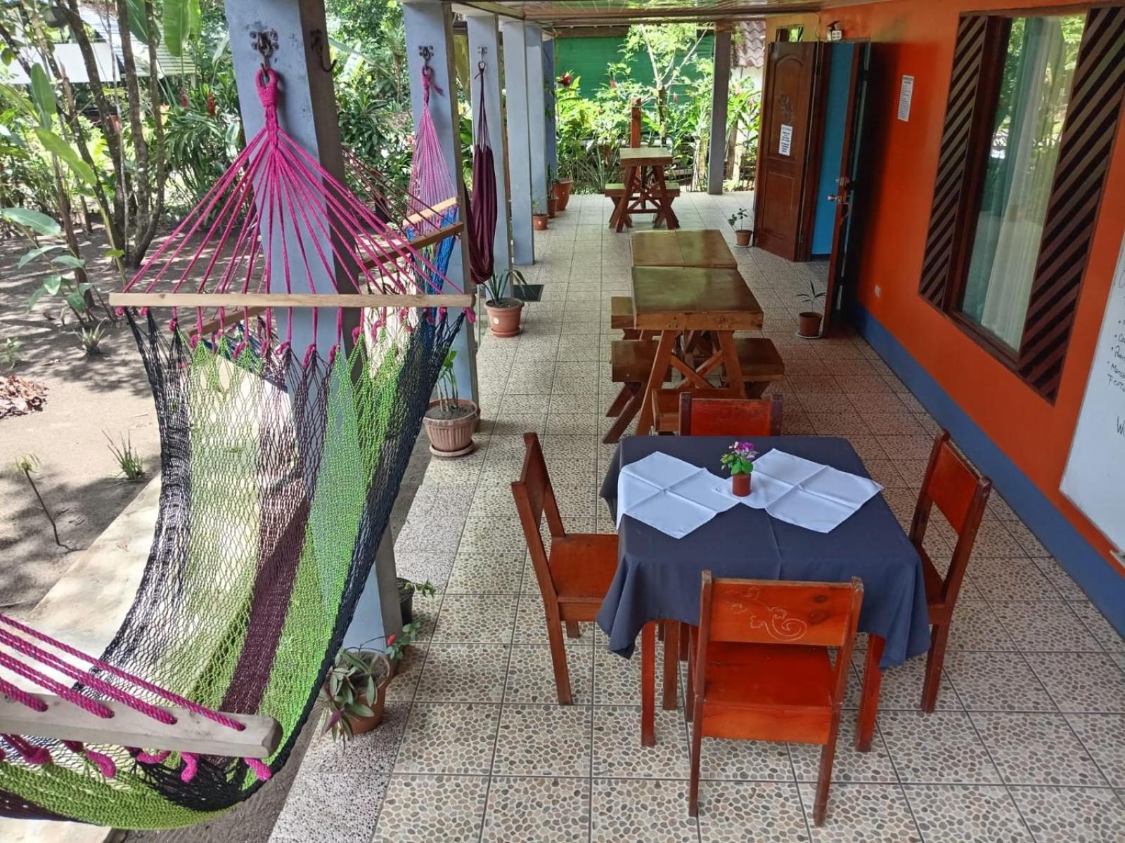 Gecko De Tortuguero Bed & Breakfast Exterior photo