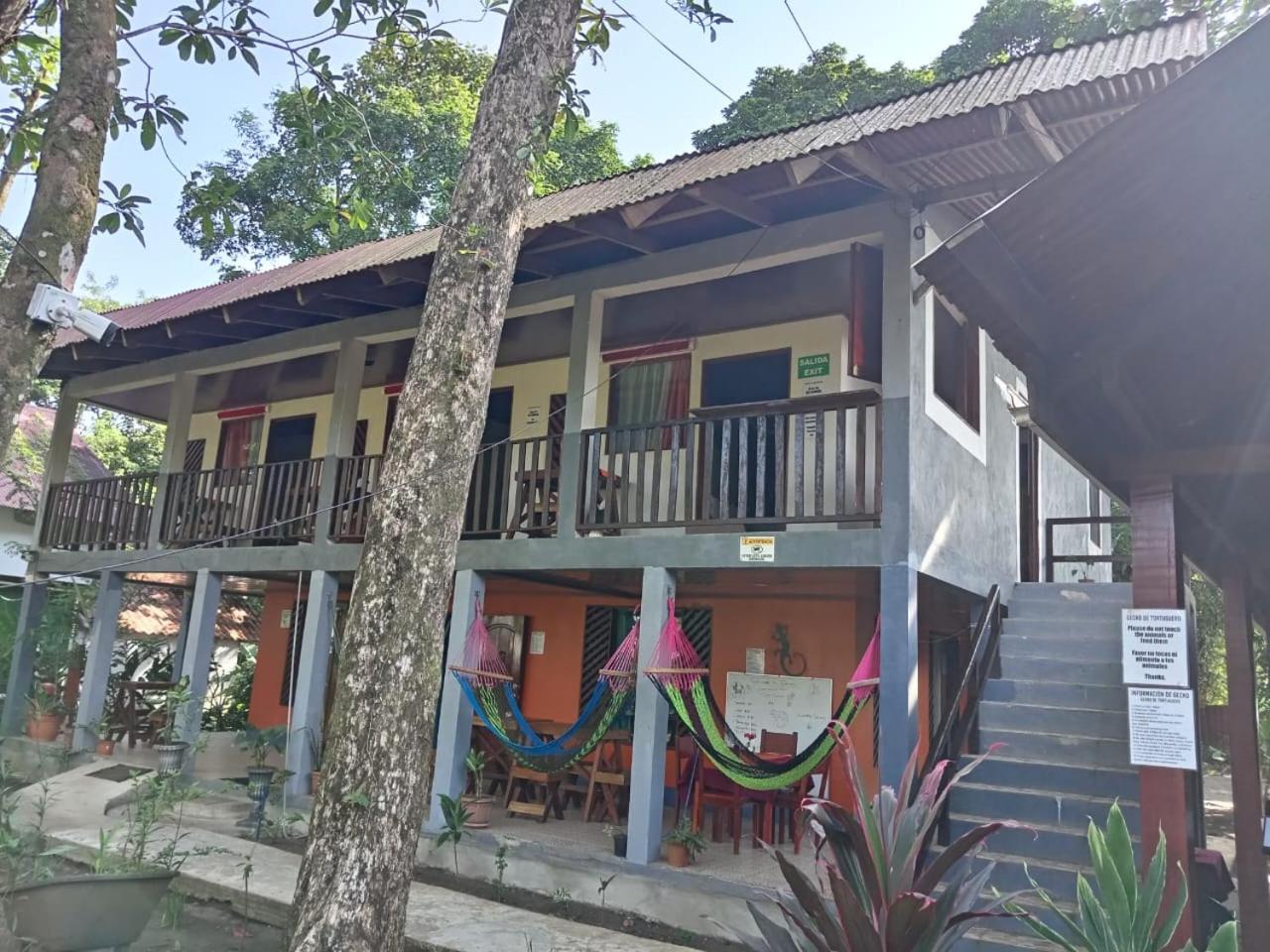 Gecko De Tortuguero Bed & Breakfast Exterior photo