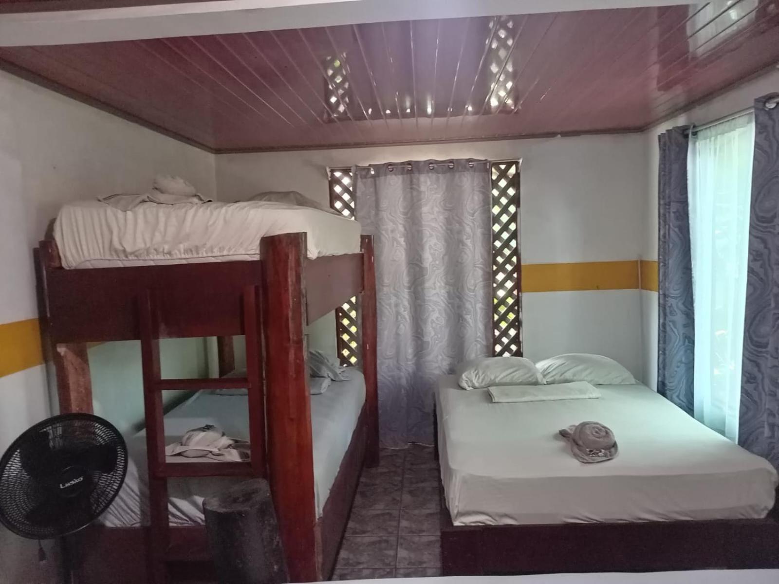 Gecko De Tortuguero Bed & Breakfast Exterior photo