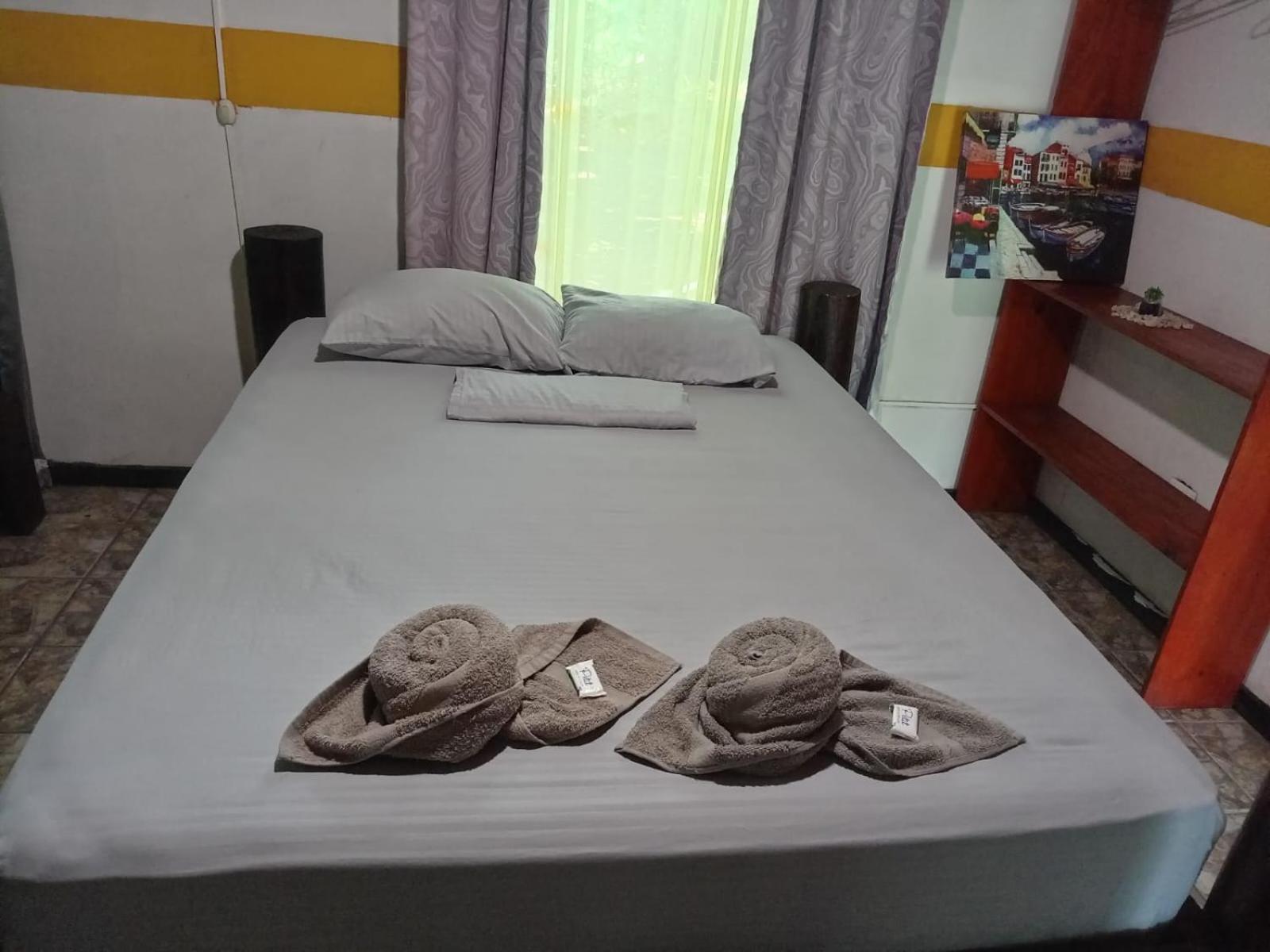 Gecko De Tortuguero Bed & Breakfast Exterior photo